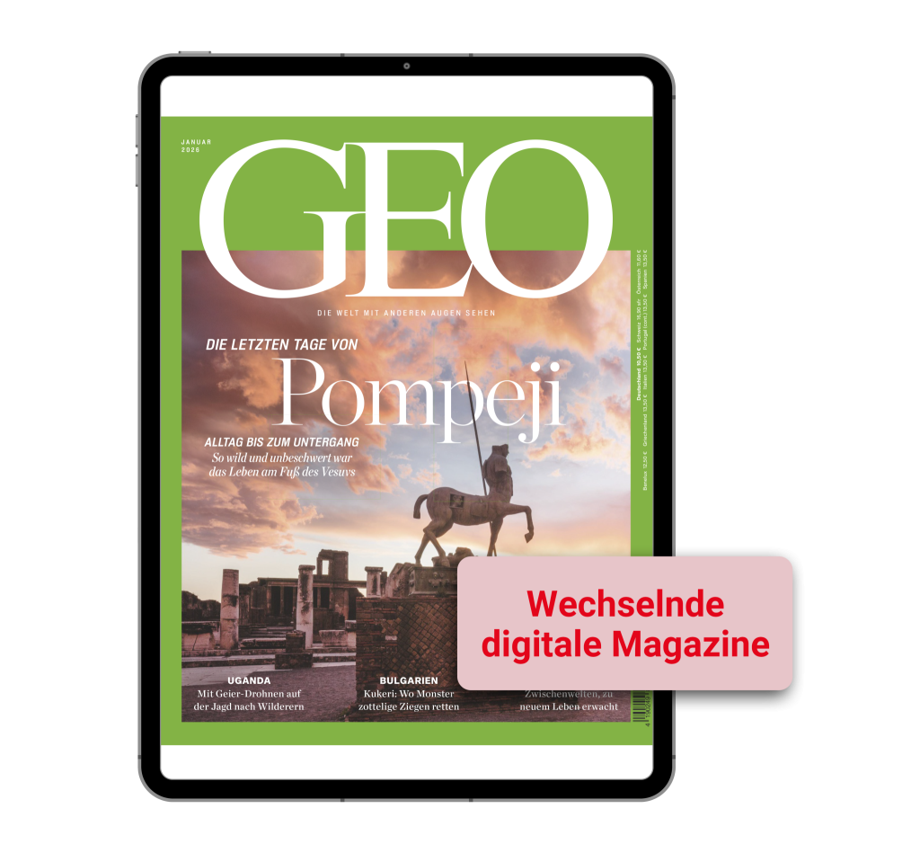 2026-01_Mock-Up Wechselnde Magazine_FP